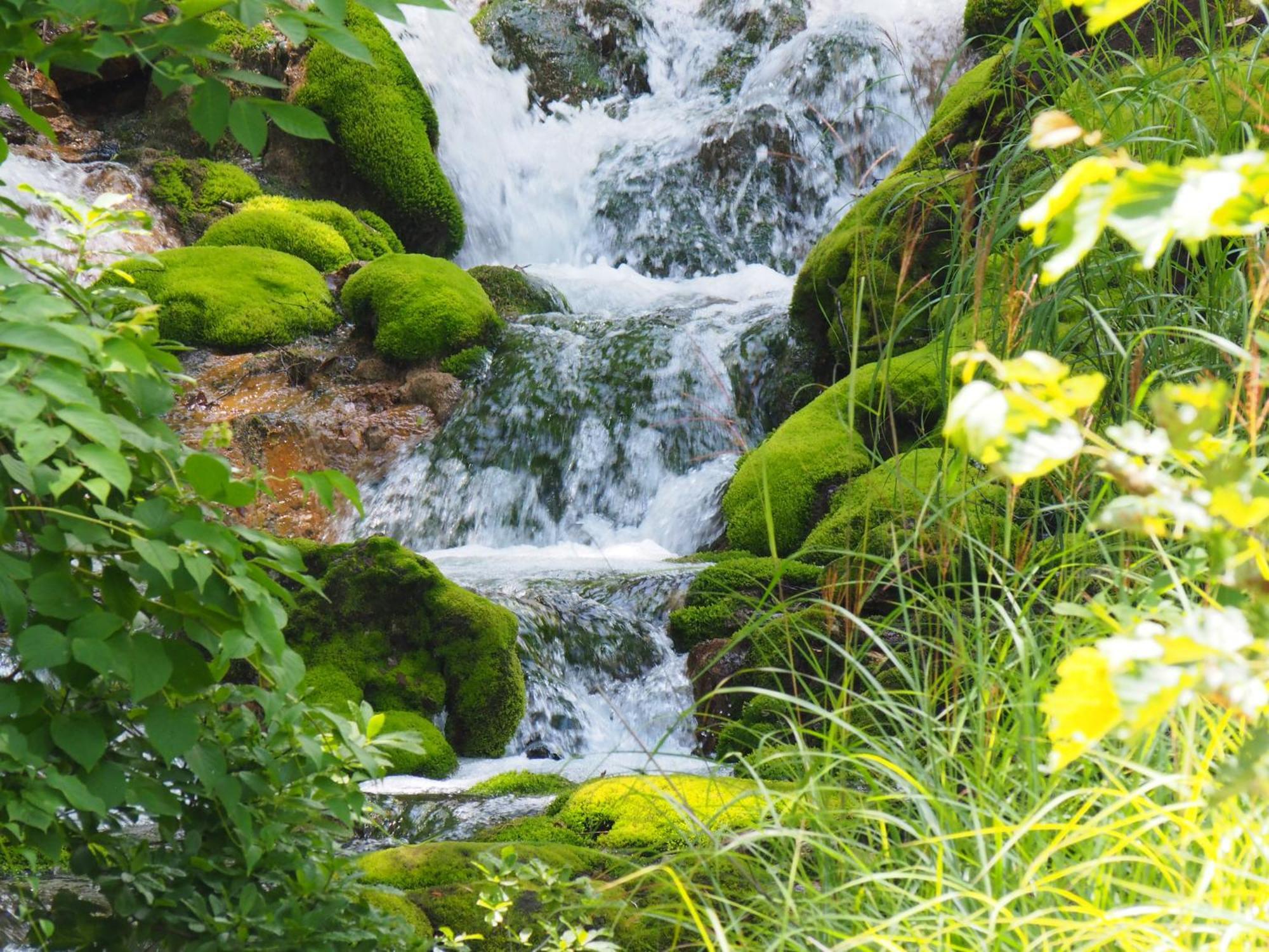 Buna Kusatsu Onsen Inn Exteriér fotografie